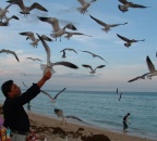 Must See, Miscellaneous